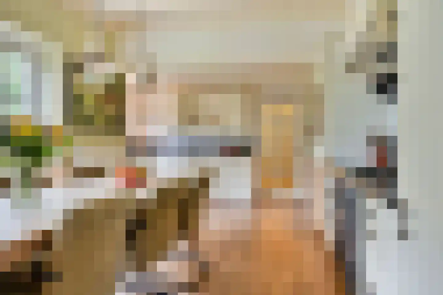 Oostermoer 9 Spijkerboor thumbnail 5