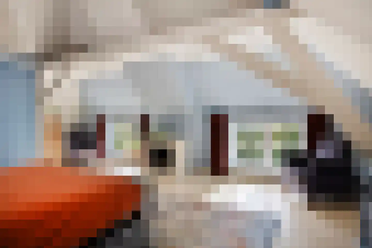 Oostermoer 9 Spijkerboor thumbnail 53