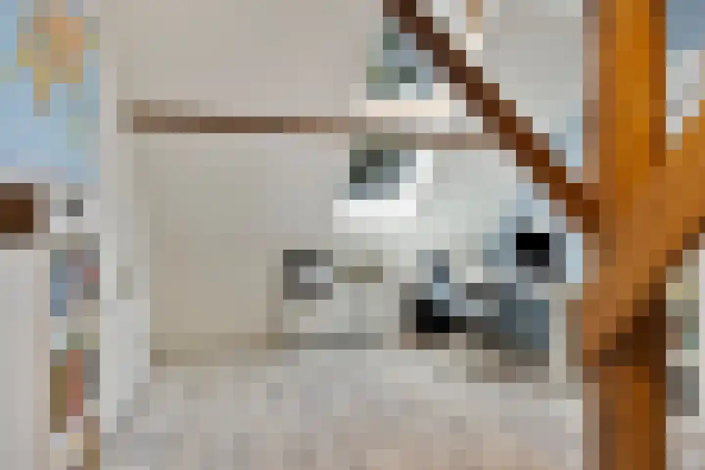 Oostermoer 9 Spijkerboor thumbnail 58