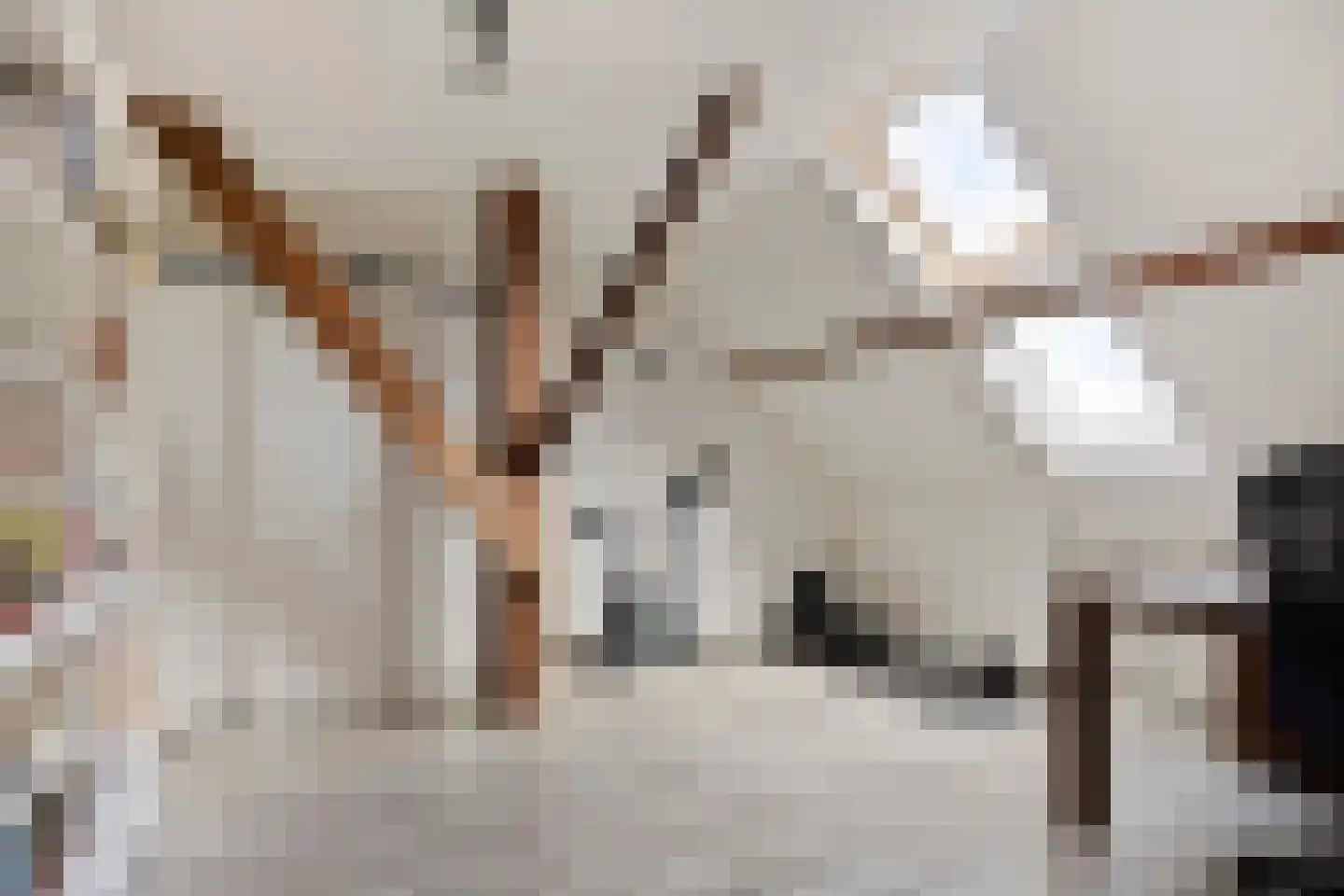 Oostermoer 9 Spijkerboor thumbnail 60