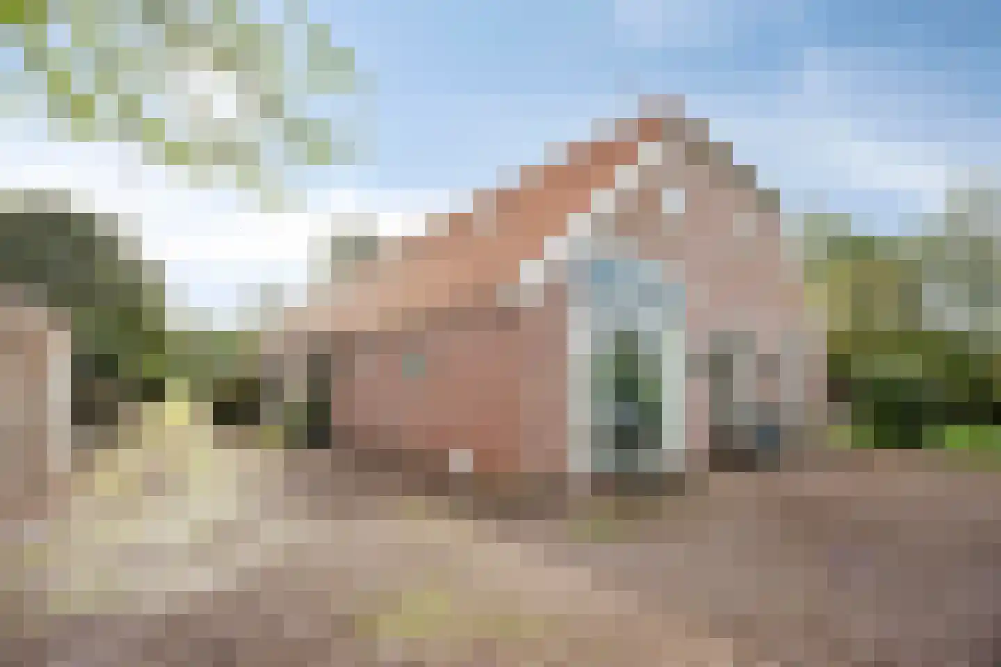 Oostermoer 9 Spijkerboor thumbnail 63
