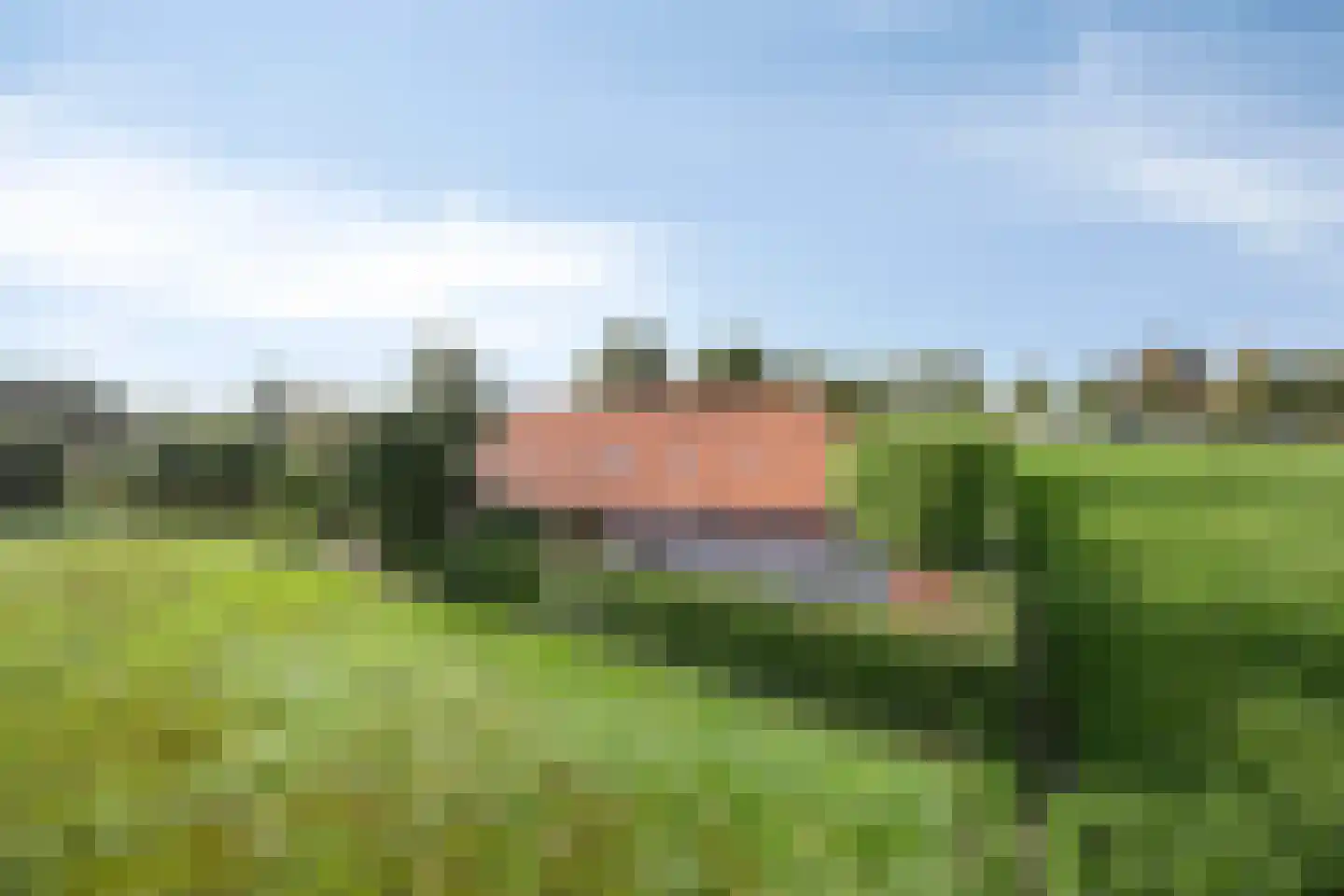 Oostermoer 9 Spijkerboor thumbnail 64