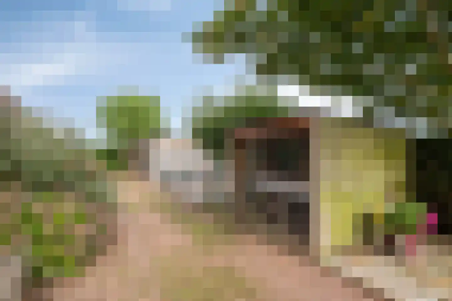 Oostermoer 9 Spijkerboor thumbnail 66