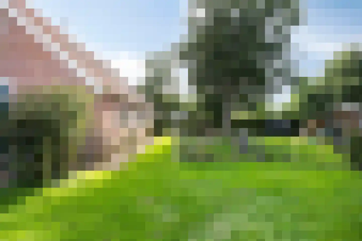 Oostermoer 9 Spijkerboor thumbnail 68
