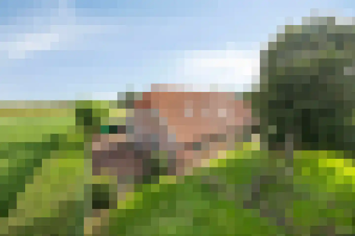 Oostermoer 9 Spijkerboor thumbnail 69