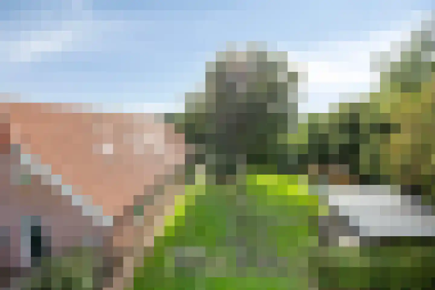 Oostermoer 9 Spijkerboor thumbnail 70