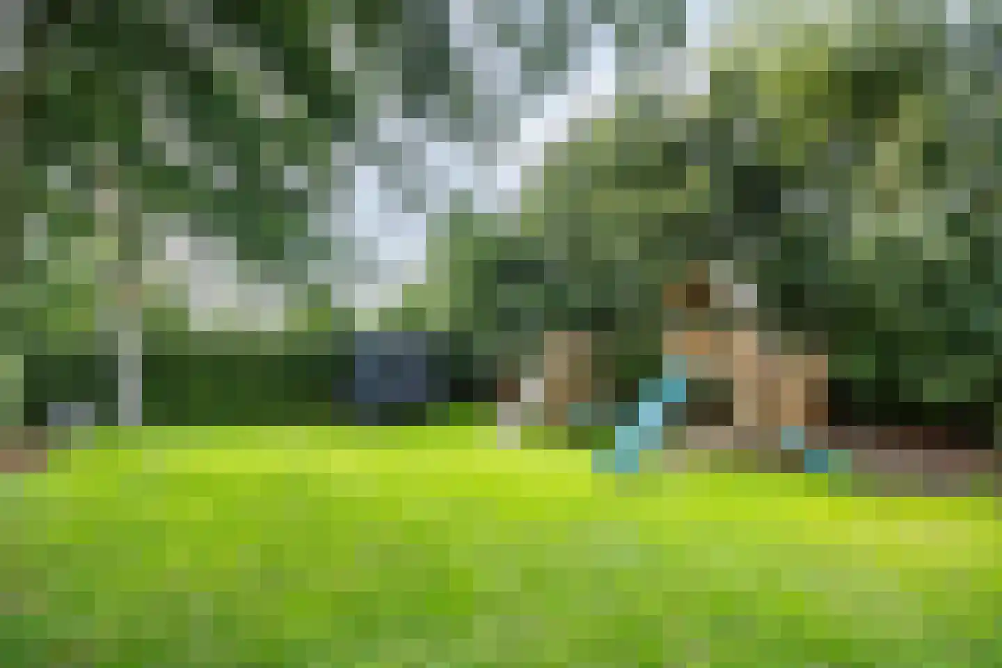 Oostermoer 9 Spijkerboor thumbnail 71