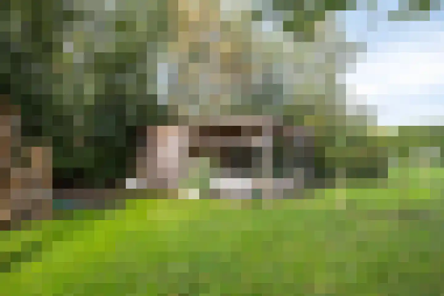 Oostermoer 9 Spijkerboor thumbnail 72