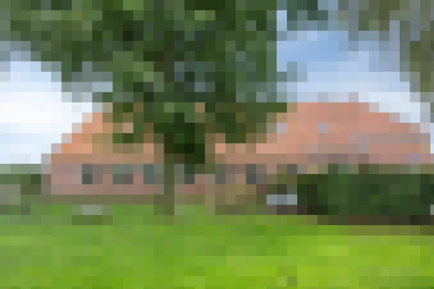 Oostermoer 9 Spijkerboor thumbnail 73