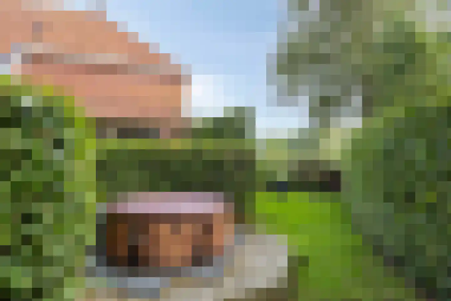 Oostermoer 9 Spijkerboor thumbnail 75