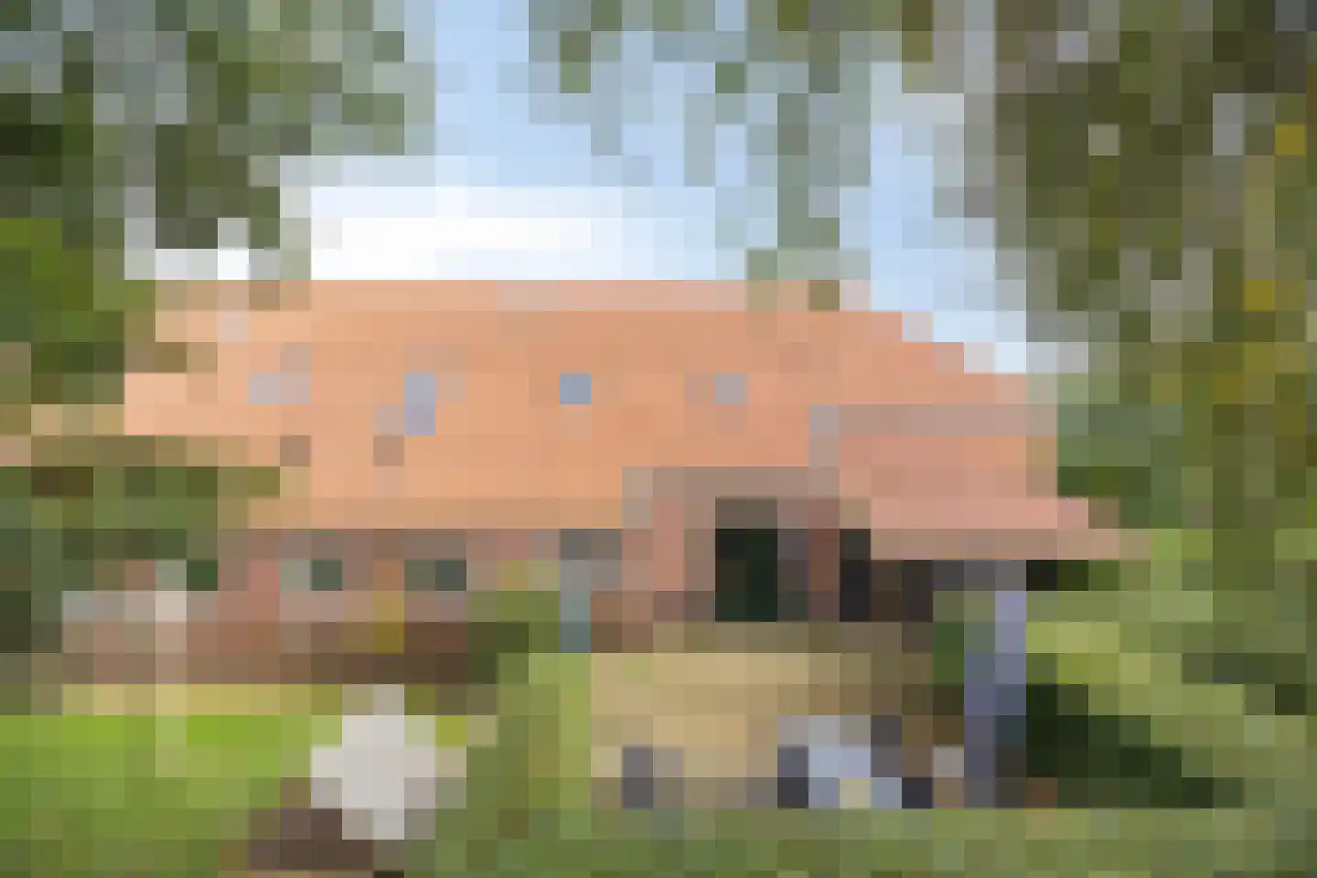 Oostermoer 9 Spijkerboor thumbnail 76