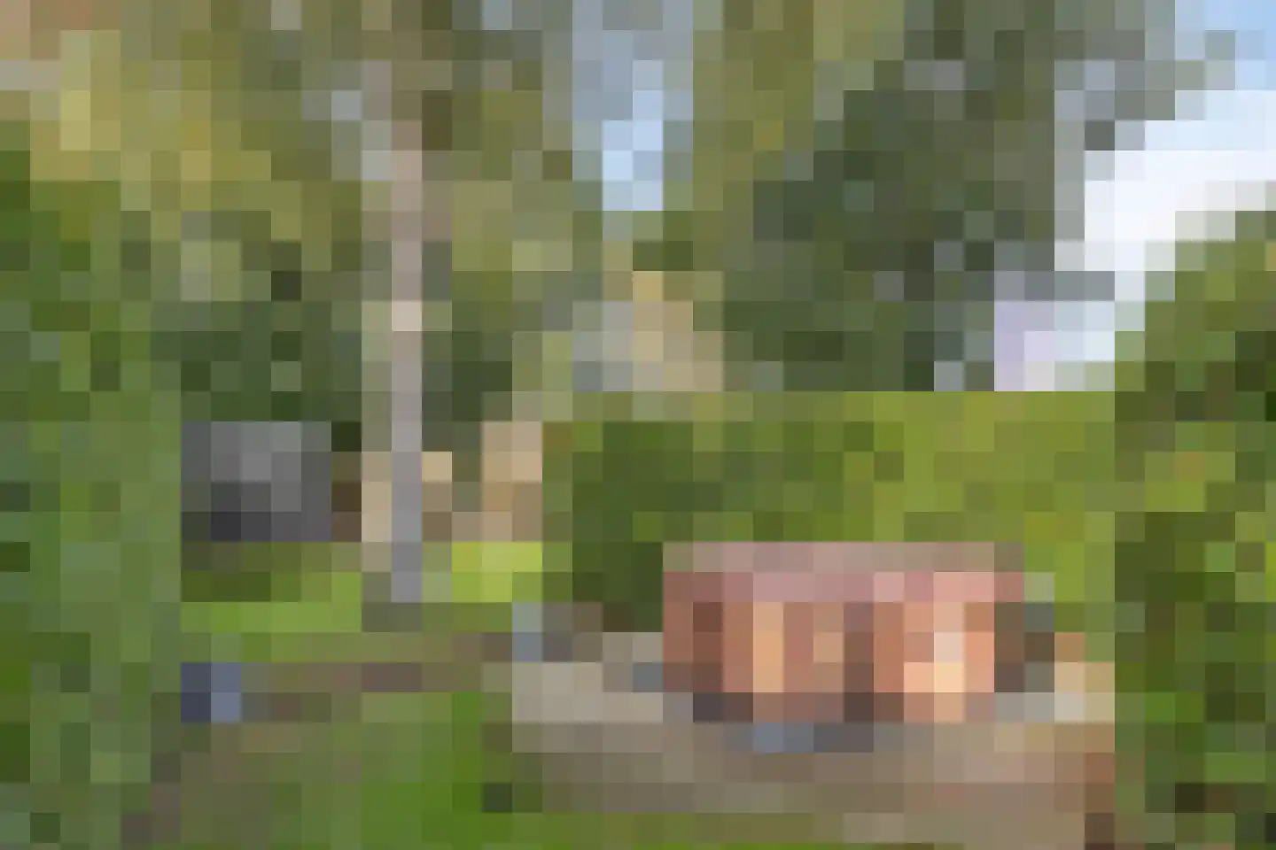Oostermoer 9 Spijkerboor thumbnail 77