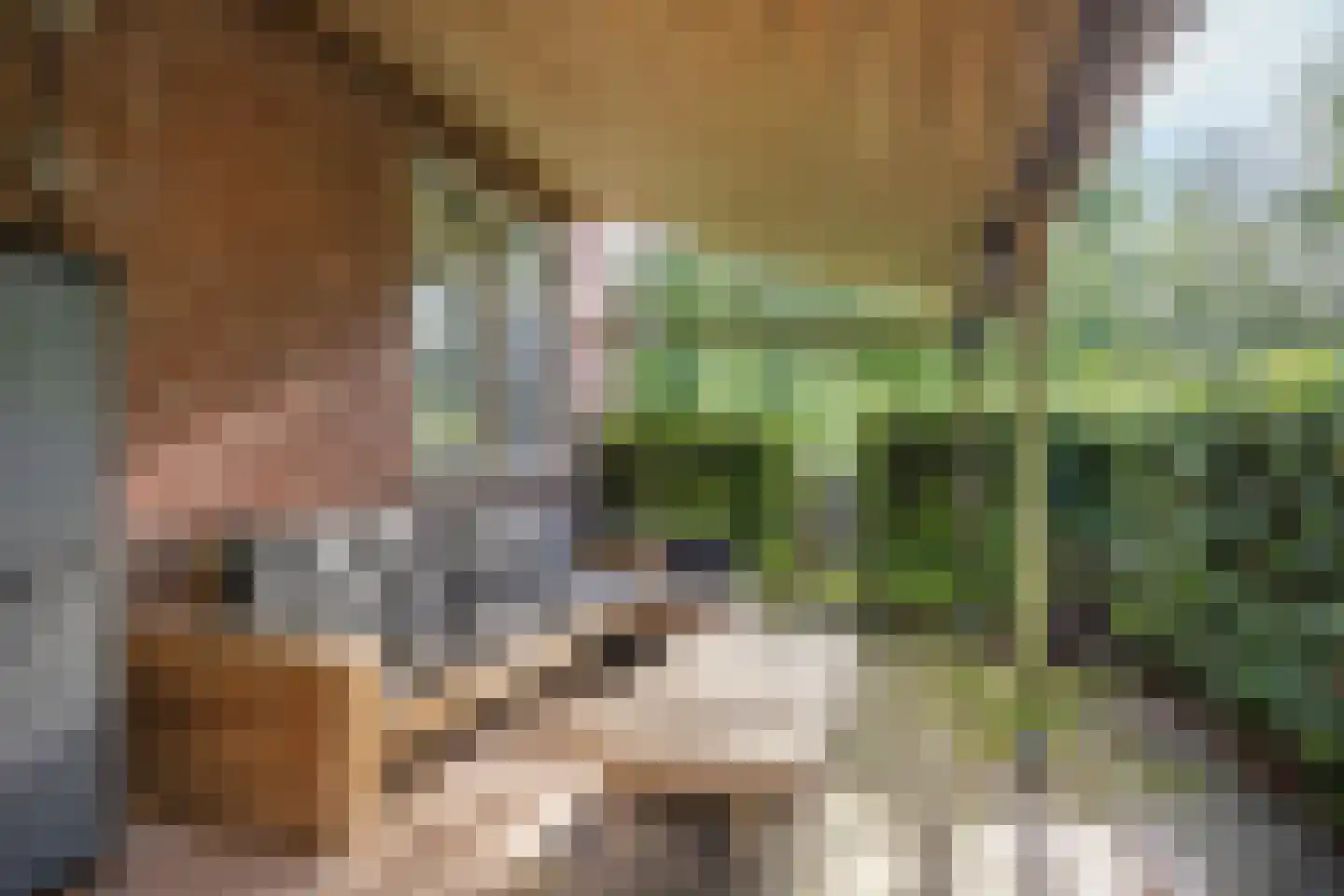 Oostermoer 9 Spijkerboor thumbnail 78