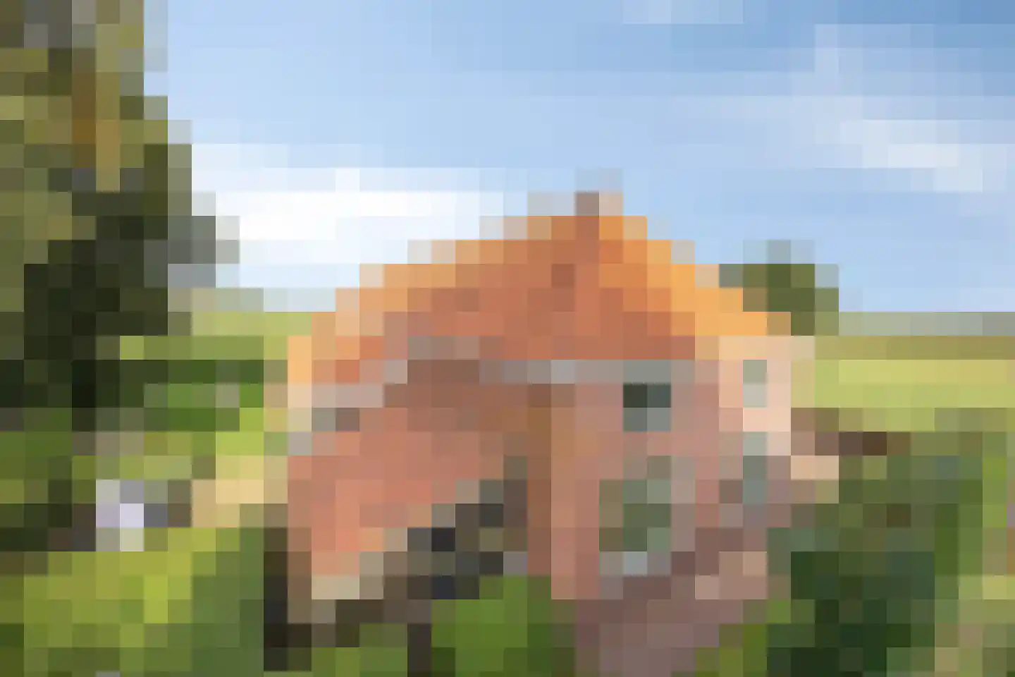 Oostermoer 9 Spijkerboor thumbnail 79