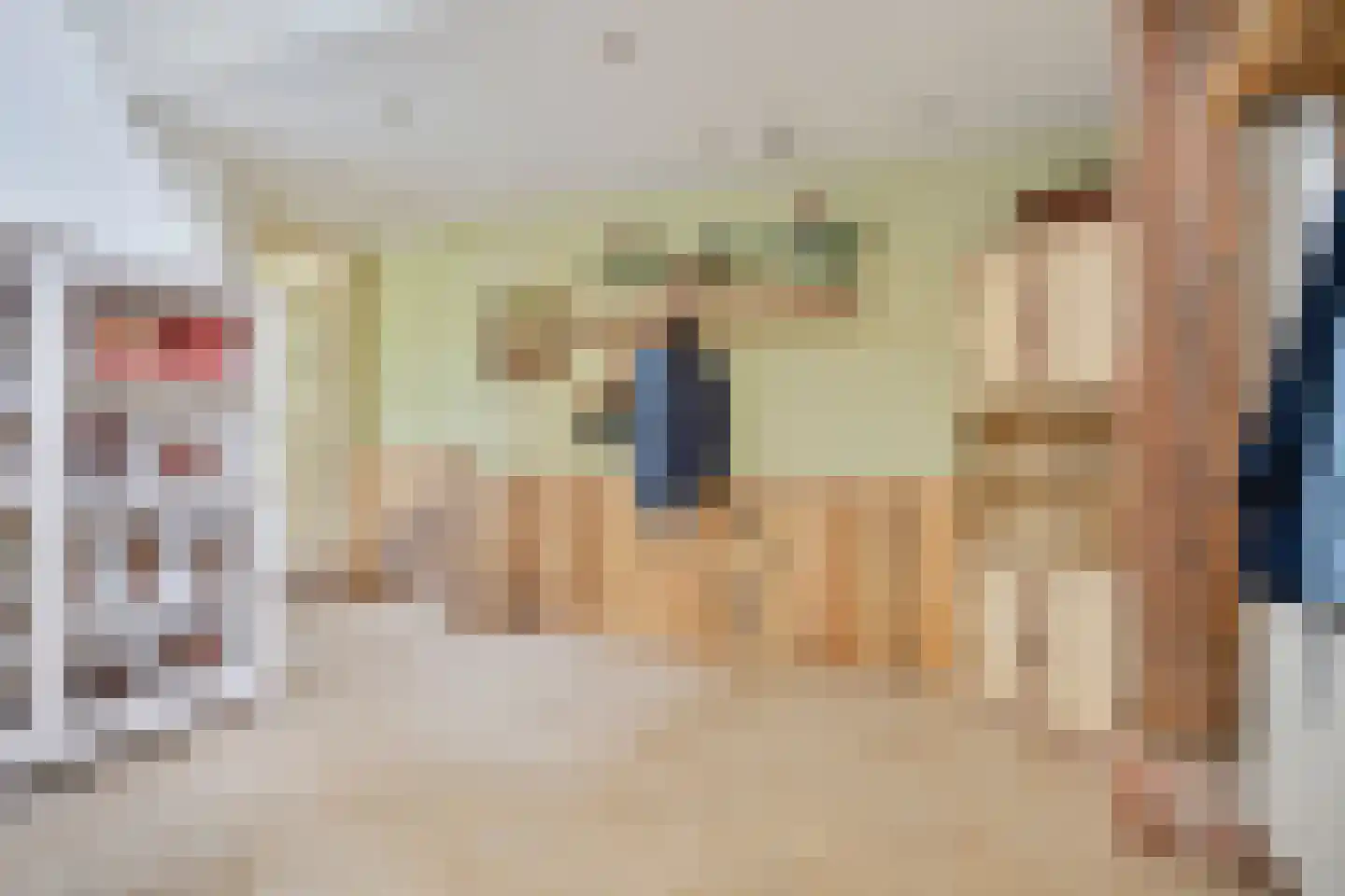 Oostermoer 9 Spijkerboor thumbnail 8
