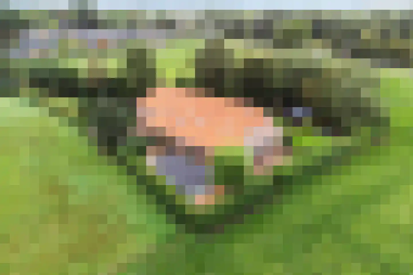 Oostermoer 9 Spijkerboor thumbnail 80