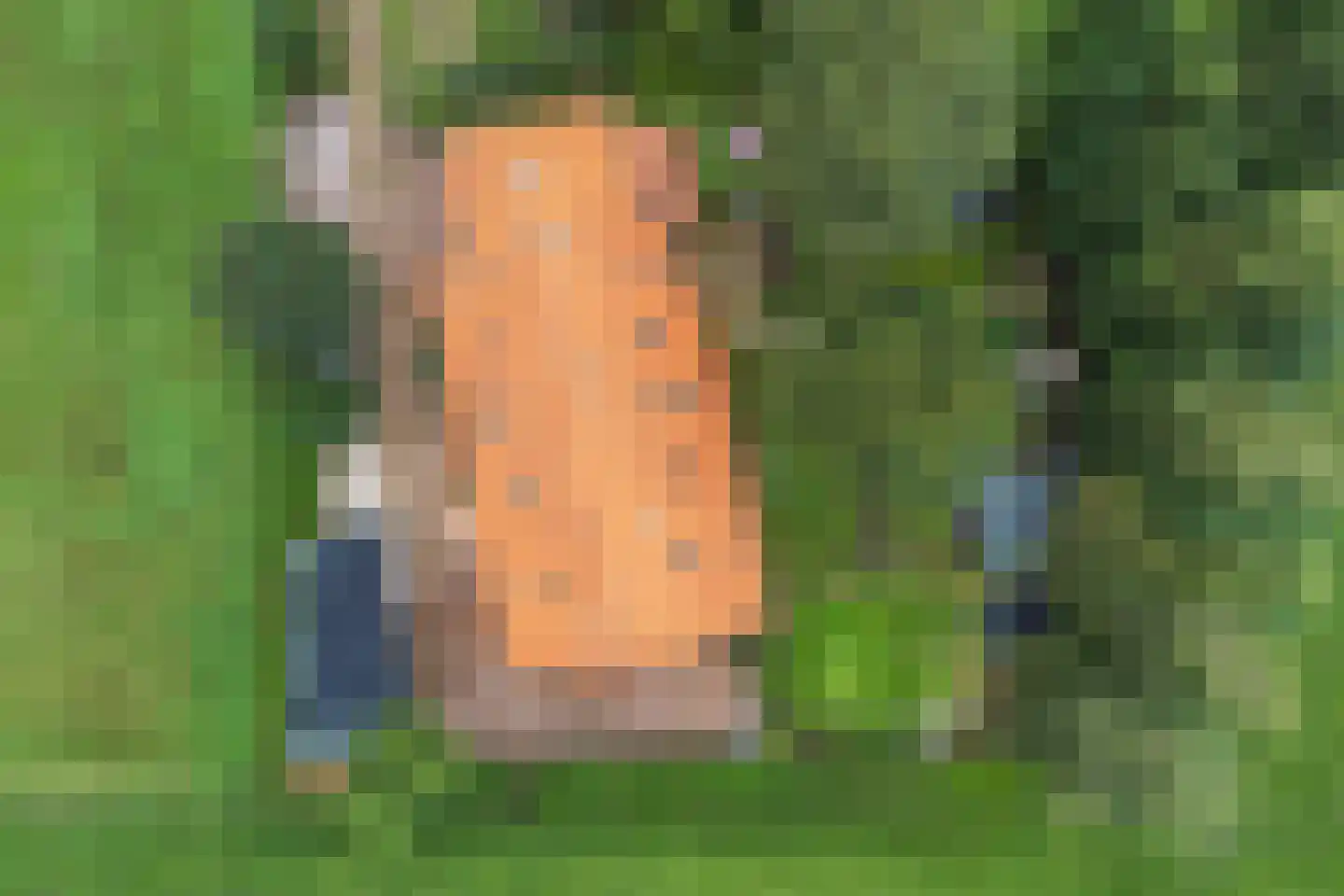 Oostermoer 9 Spijkerboor thumbnail 81