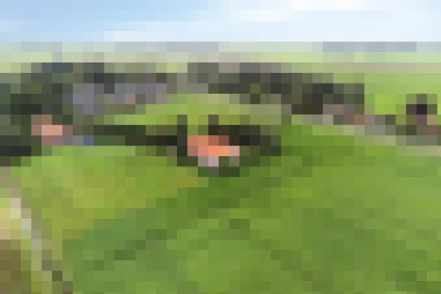 Oostermoer 9 Spijkerboor thumbnail 82