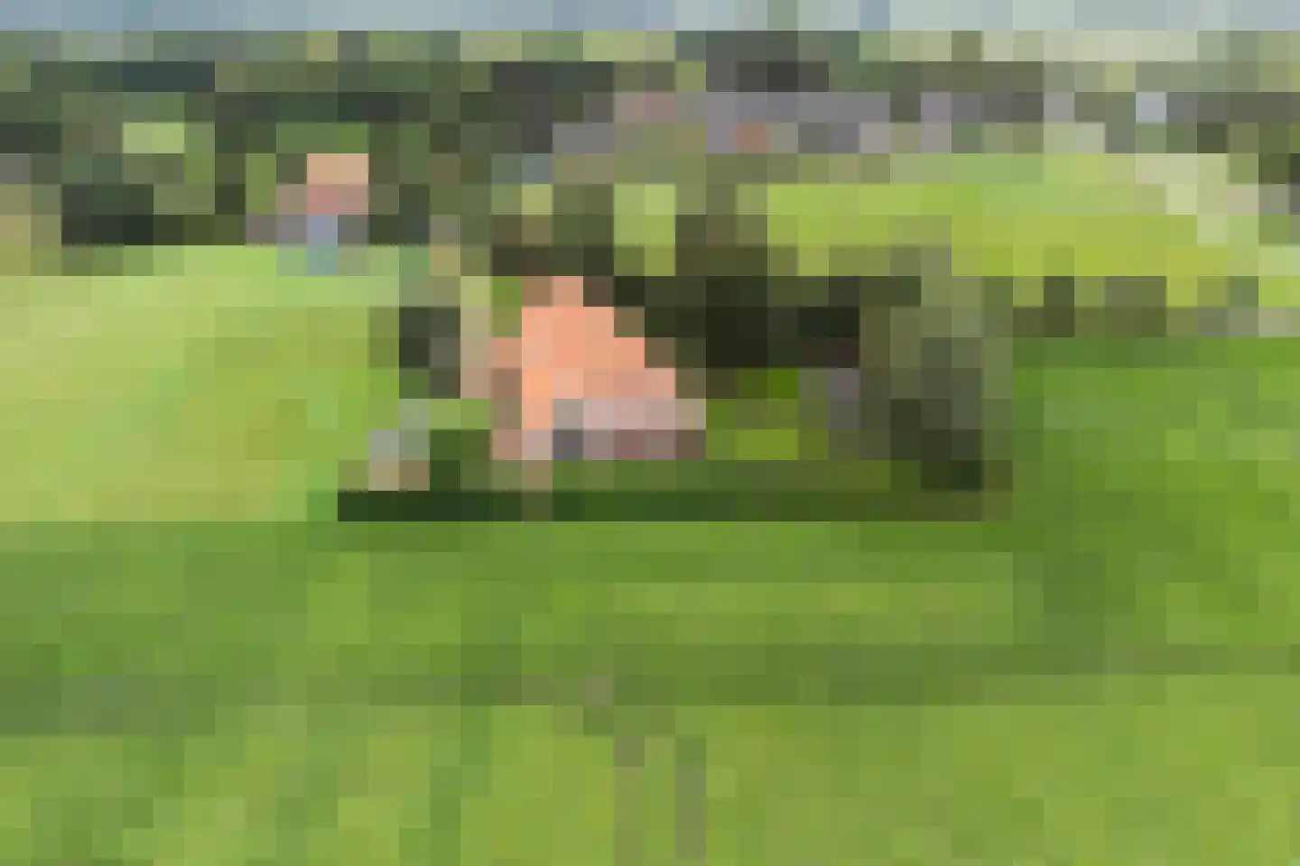Oostermoer 9 Spijkerboor thumbnail 83