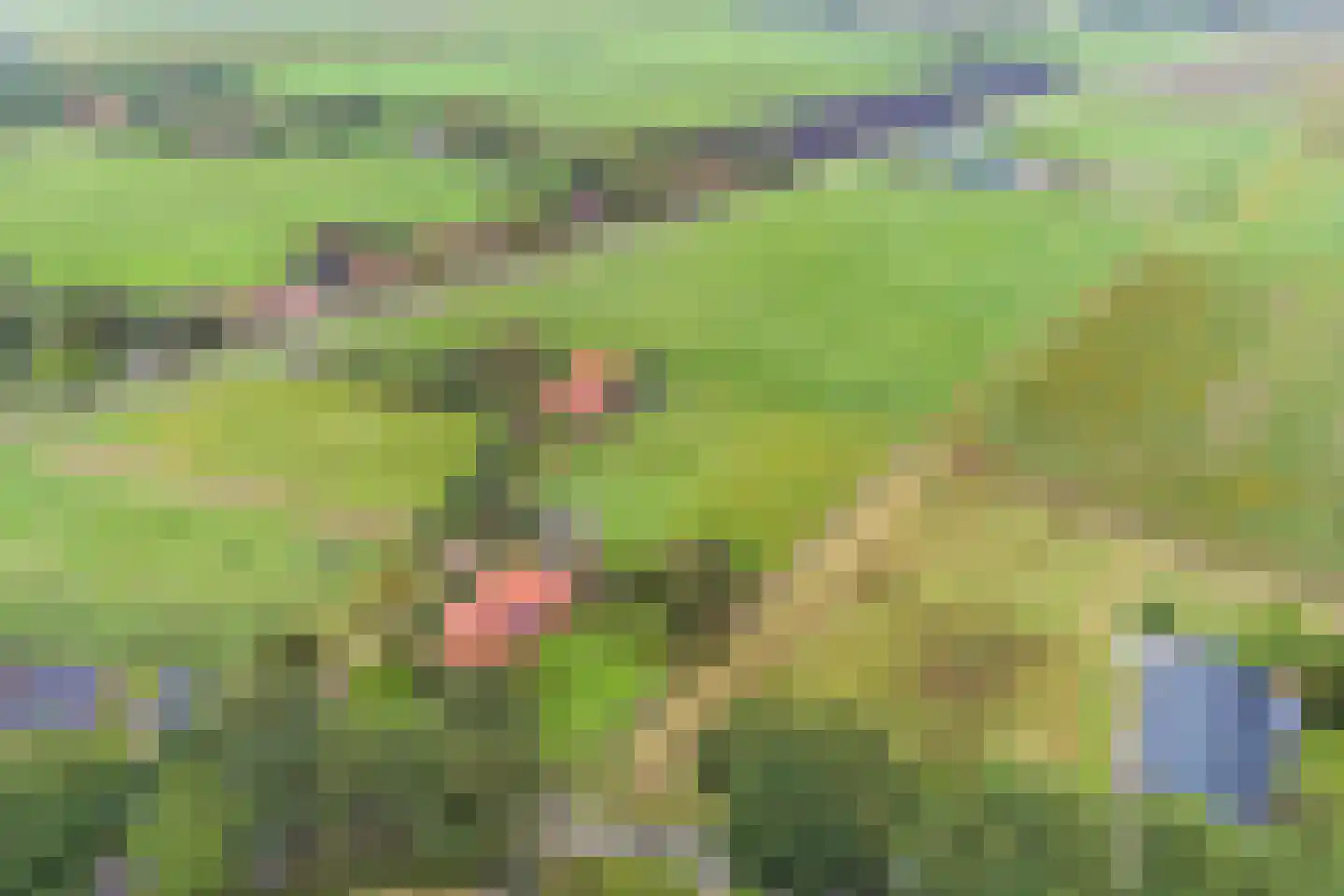 Oostermoer 9 Spijkerboor thumbnail 84
