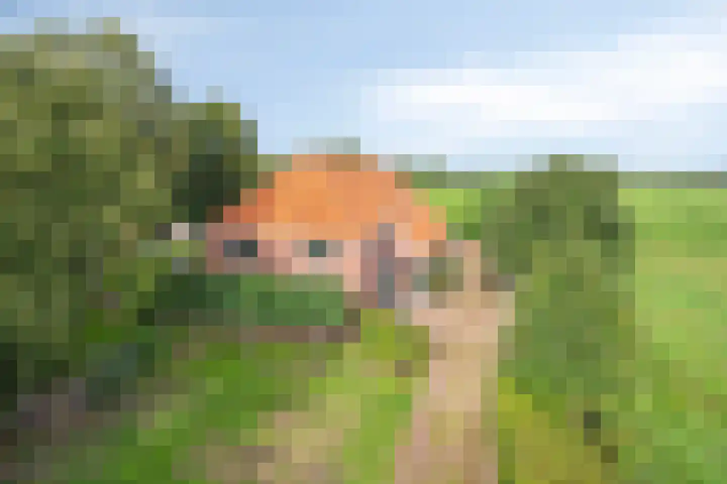 Oostermoer 9 Spijkerboor thumbnail 86