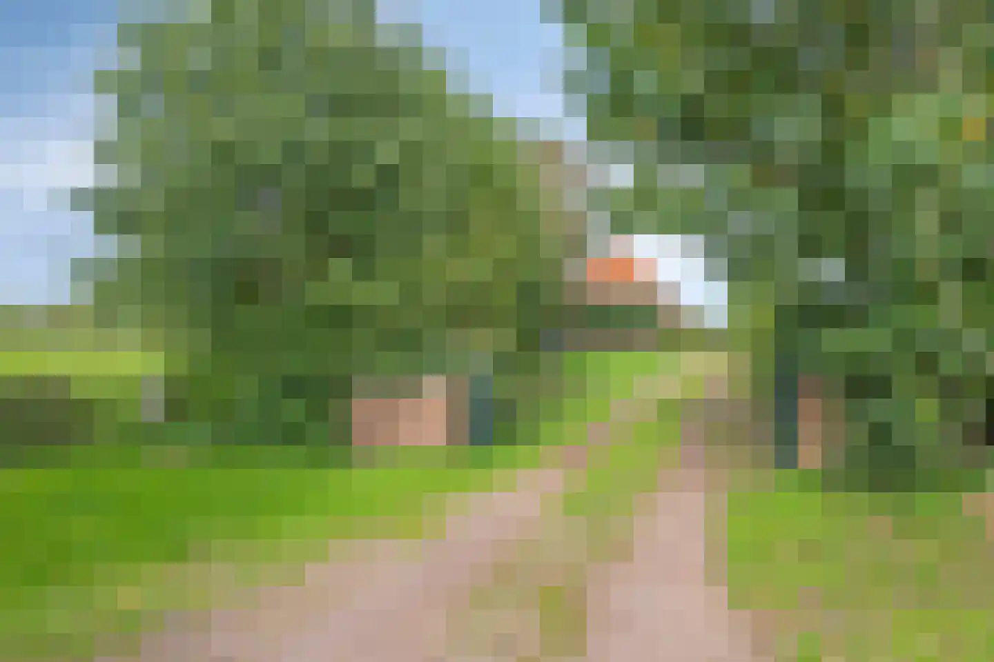 Oostermoer 9 Spijkerboor thumbnail 93