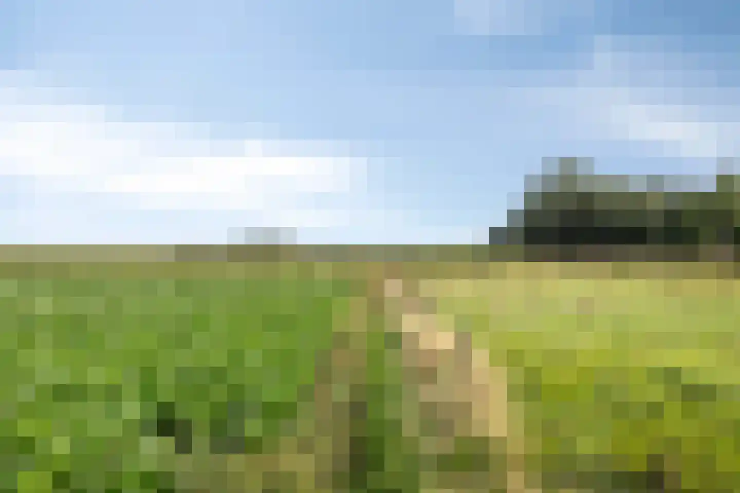 Oostermoer 9 Spijkerboor thumbnail 95