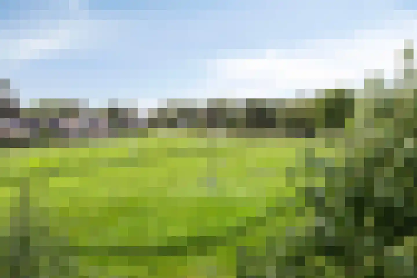 Oostermoer 9 Spijkerboor thumbnail 96