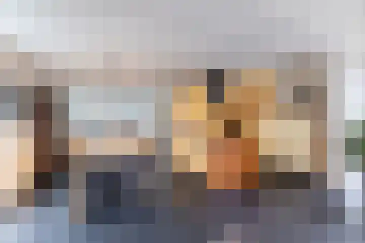 Oosterom 10 Sneek thumbnail 20