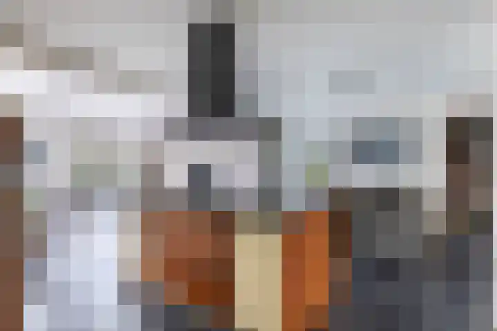 Oosterom 10 Sneek thumbnail 24