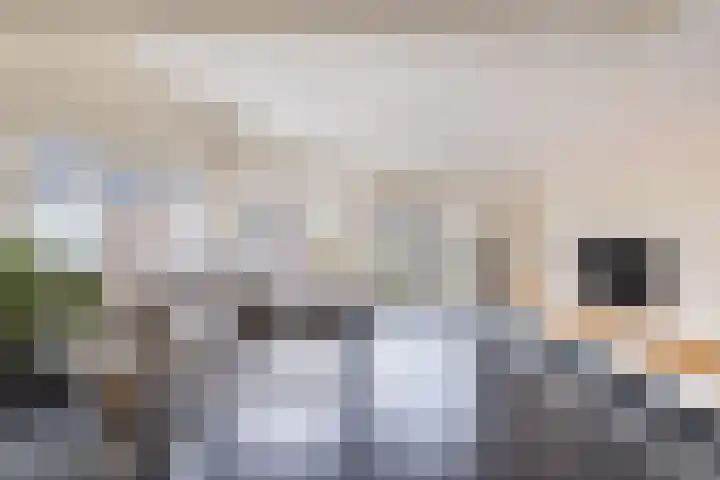 Oosterom 10 Sneek thumbnail 25