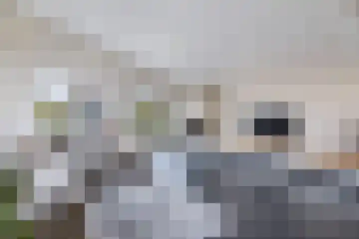 Oosterom 10 Sneek thumbnail 26