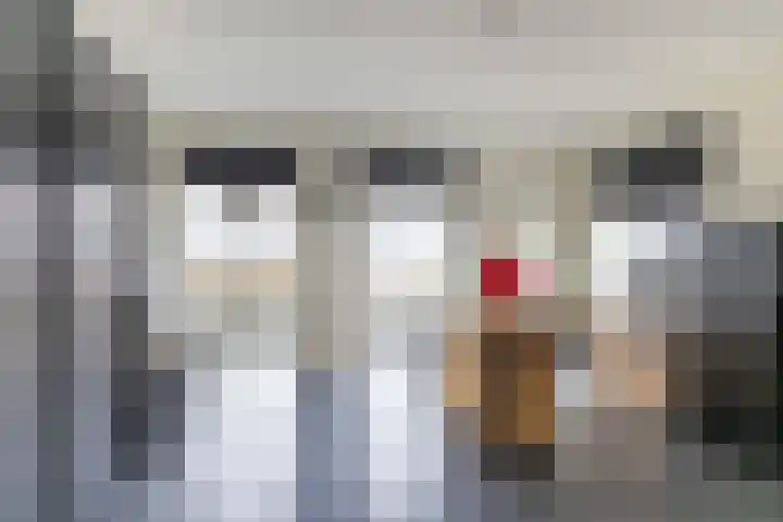 Oosterom 10 Sneek thumbnail 33