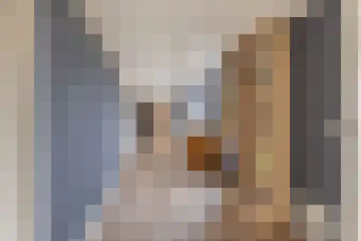 Oosterom 10 Sneek thumbnail 41