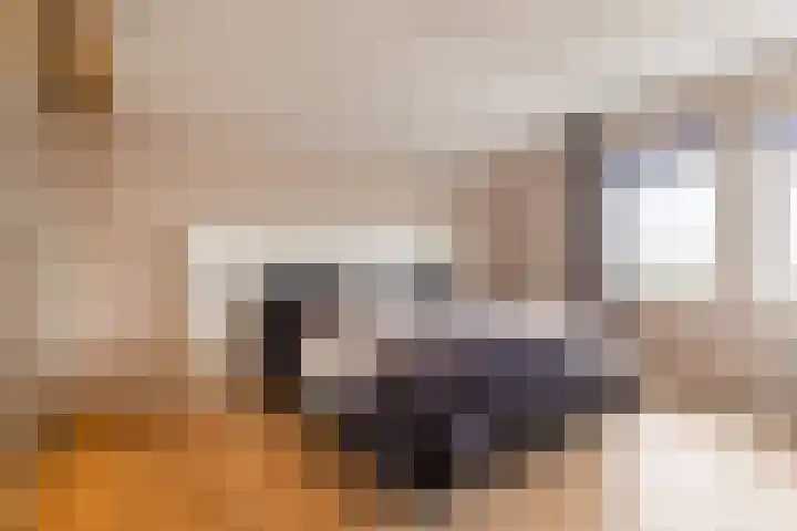 Oosterom 10 Sneek thumbnail 46