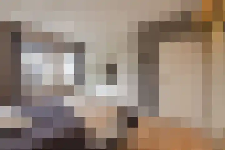 Oosterom 10 Sneek thumbnail 47