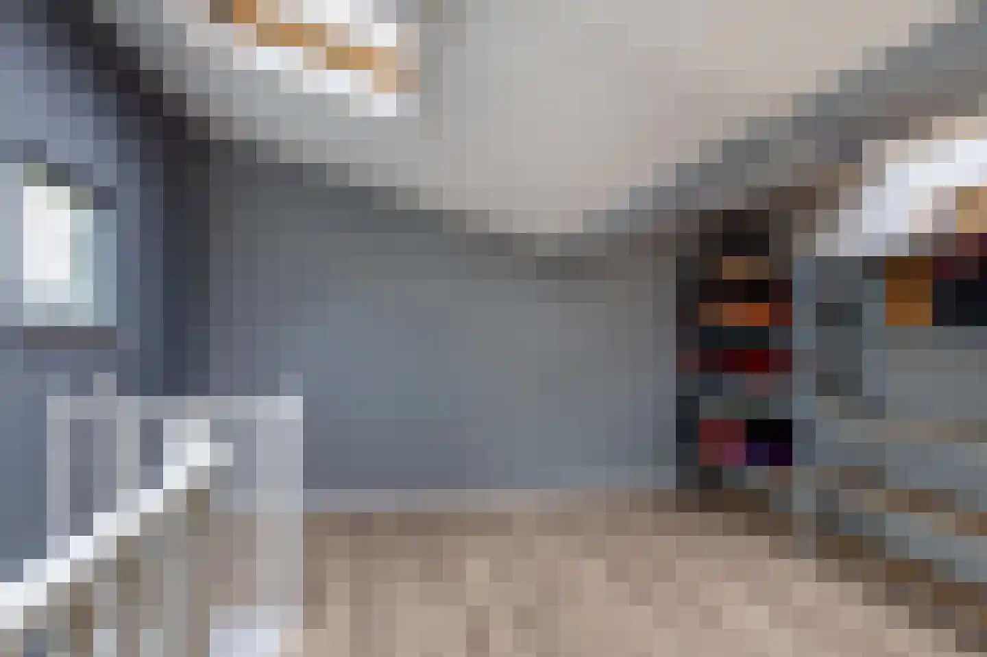 Oosterom 10 Sneek thumbnail 53