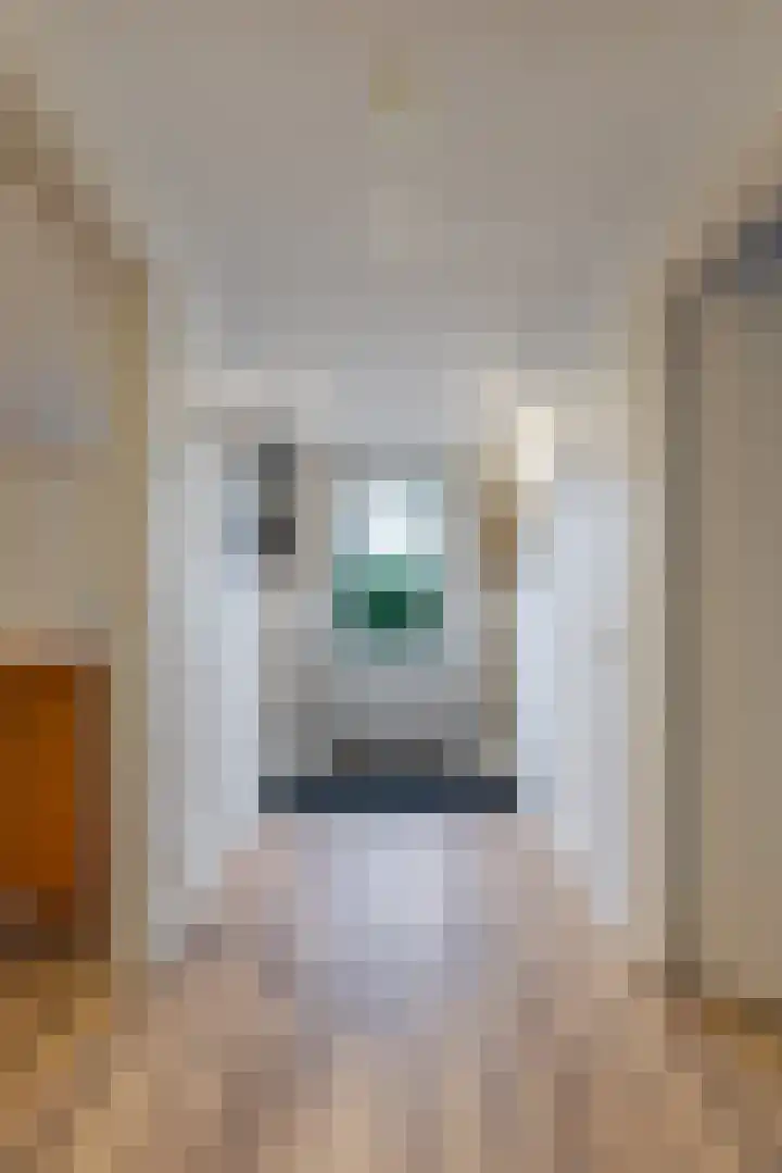 Oosterom 10 Sneek thumbnail 74