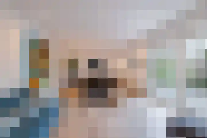 Oosterom 10 Sneek thumbnail 77