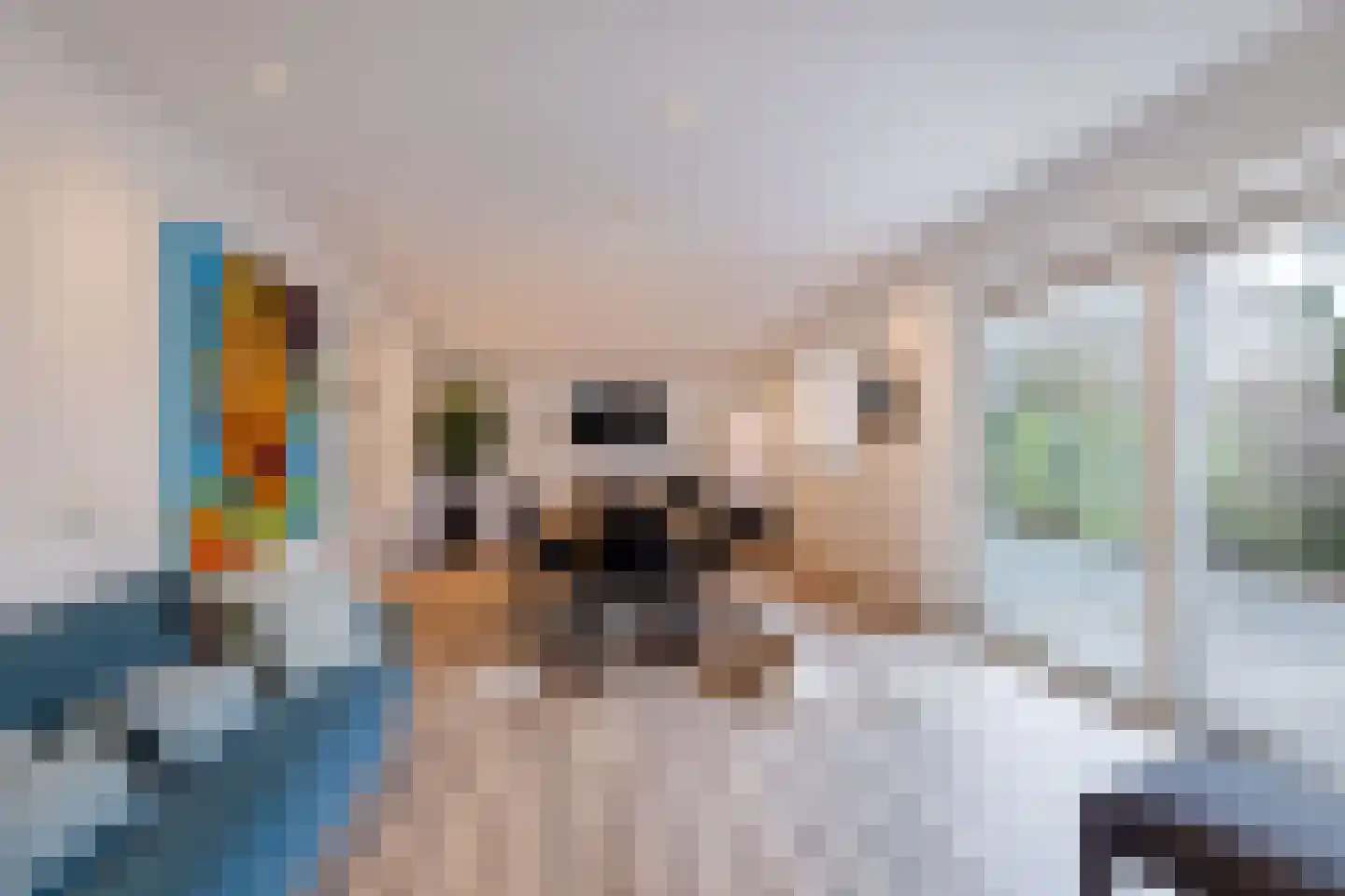 Oosterom 10 Sneek thumbnail 77