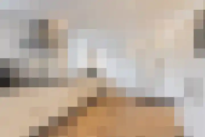 Oosterom 10 Sneek thumbnail 78