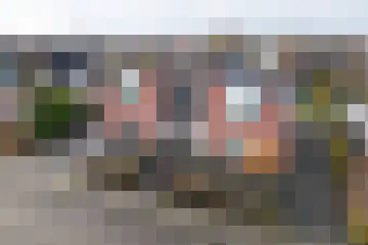 Oosterom 10 Sneek thumbnail 8