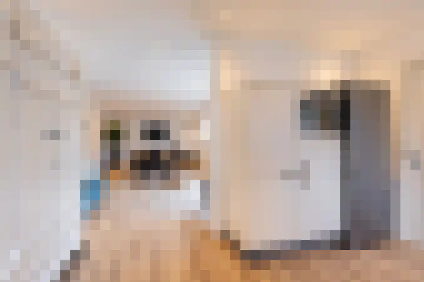Oosterom 10 Sneek thumbnail 80