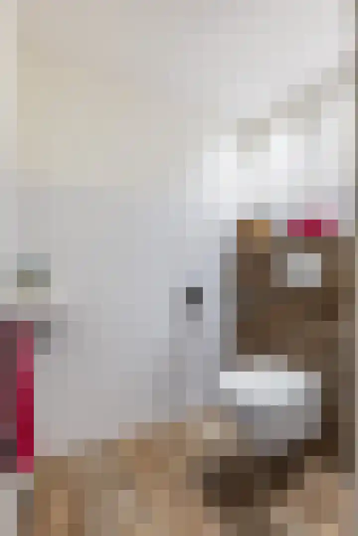 Oosterom 10 Sneek thumbnail 83