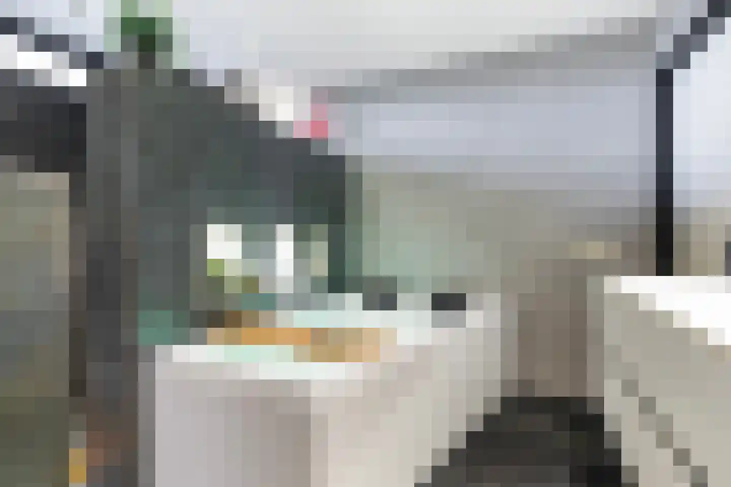 Oosterom 20 Sneek thumbnail 44