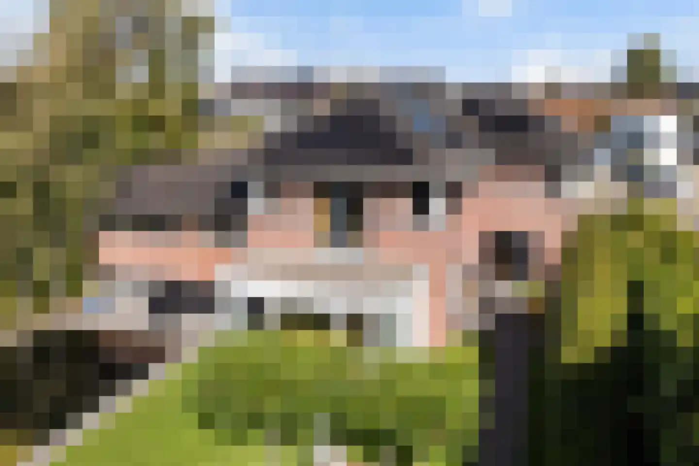Oosterom 20 Sneek thumbnail 66