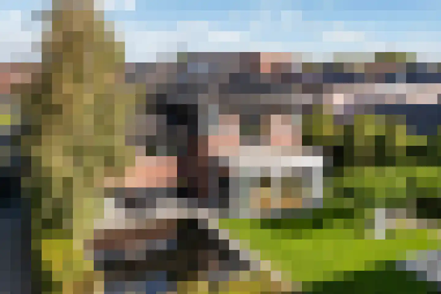 Oosterom 20 Sneek thumbnail 67