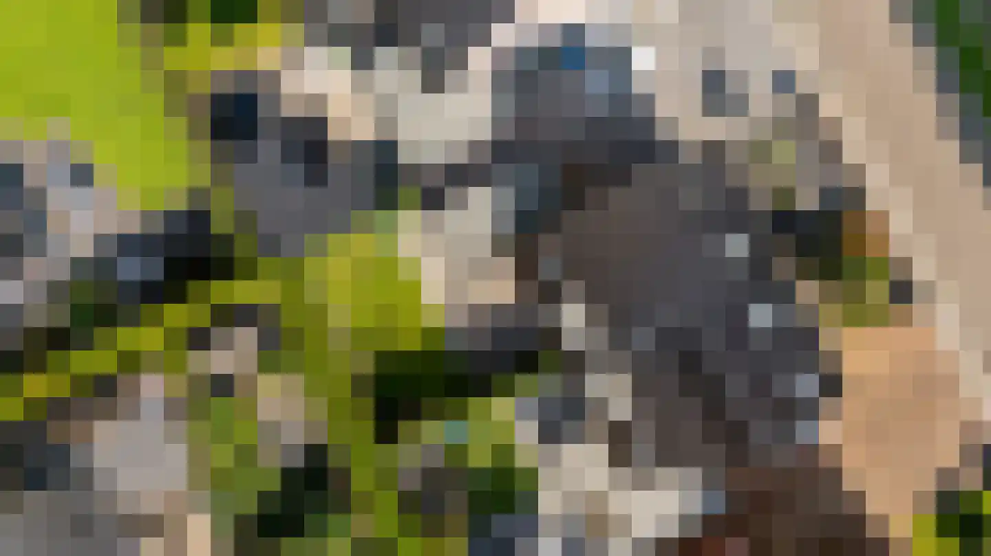 Oosterom 34 Sneek thumbnail 48
