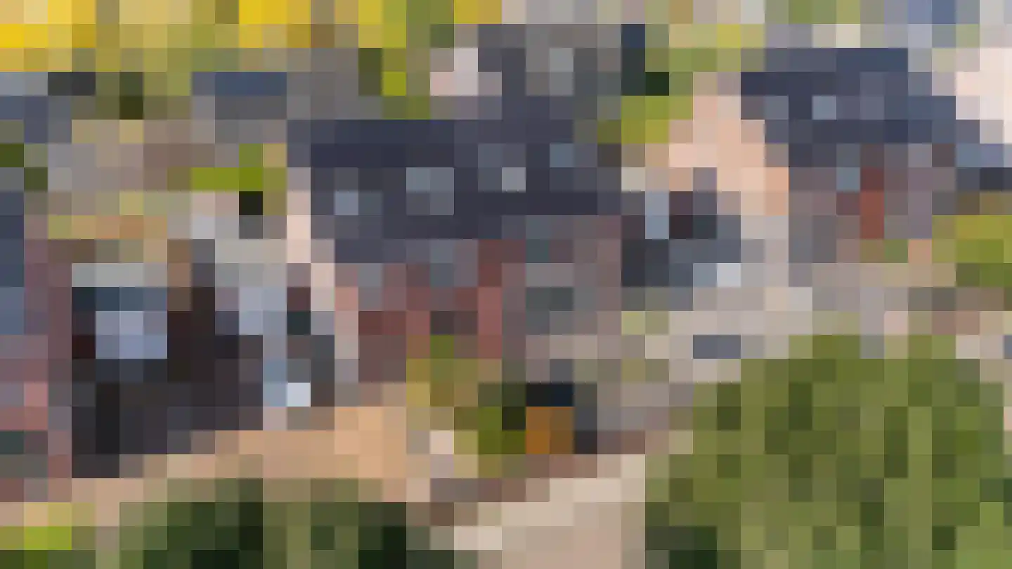 Oosterom 34 Sneek thumbnail 52