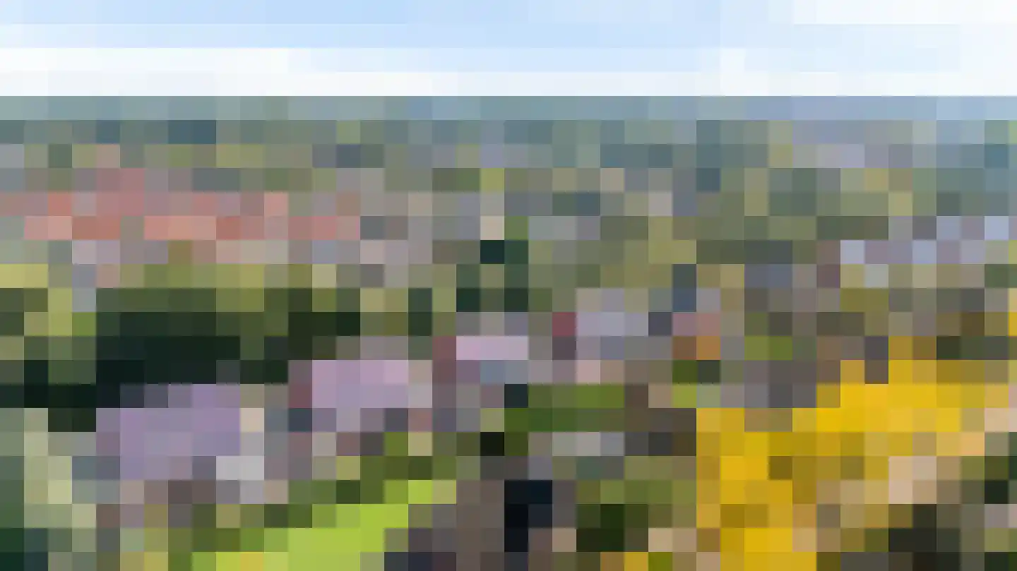 Oosterom 34 Sneek thumbnail 53